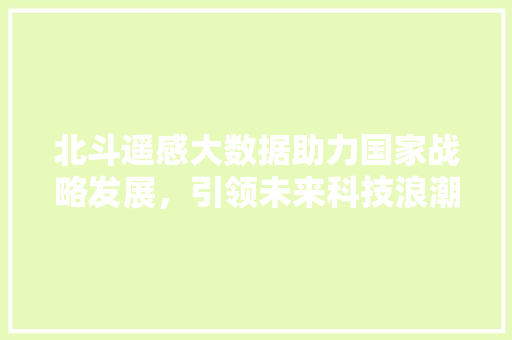 北斗遥感大数据助力国家战略发展，引领未来科技浪潮