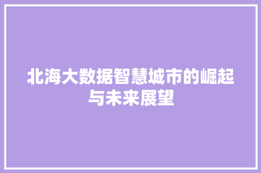 北海大数据智慧城市的崛起与未来展望
