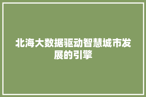 北海大数据驱动智慧城市发展的引擎