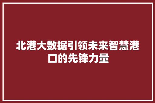 北港大数据引领未来智慧港口的先锋力量