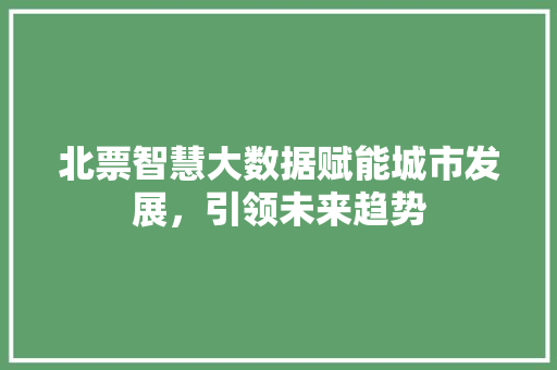 北票智慧大数据赋能城市发展，引领未来趋势