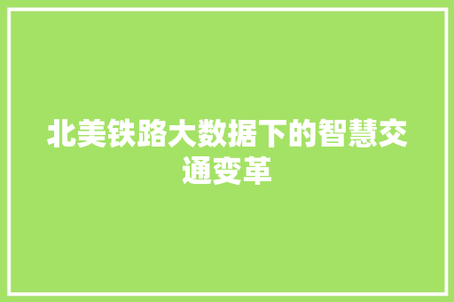 北美铁路大数据下的智慧交通变革