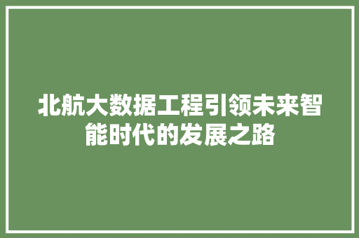 北航大数据工程引领未来智能时代的发展之路