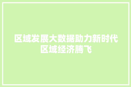 区域发展大数据助力新时代区域经济腾飞