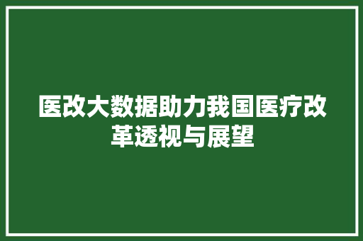 医改大数据助力我国医疗改革透视与展望 友链在线