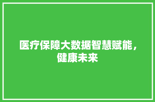 医疗保障大数据智慧赋能，健康未来