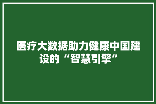 医疗大数据助力健康中国建设的“智慧引擎” 建站教程