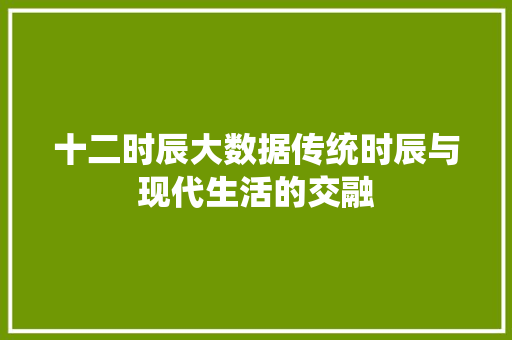 十二时辰大数据传统时辰与现代生活的交融