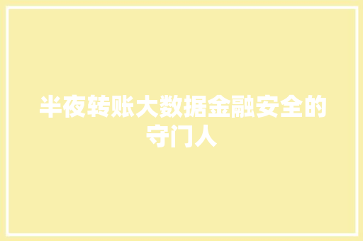 半夜转账大数据金融安全的守门人