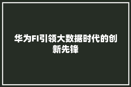 华为FI引领大数据时代的创新先锋