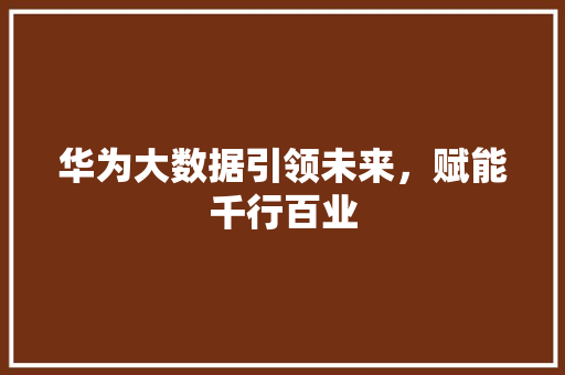 华为大数据引领未来，赋能千行百业