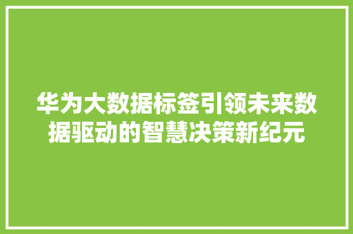 华为大数据标签引领未来数据驱动的智慧决策新纪元