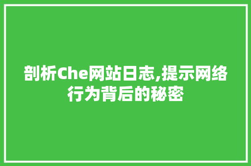 剖析Che网站日志,提示网络行为背后的秘密 剖析Che网站日志,提示网络行为背后的秘密 建站教程