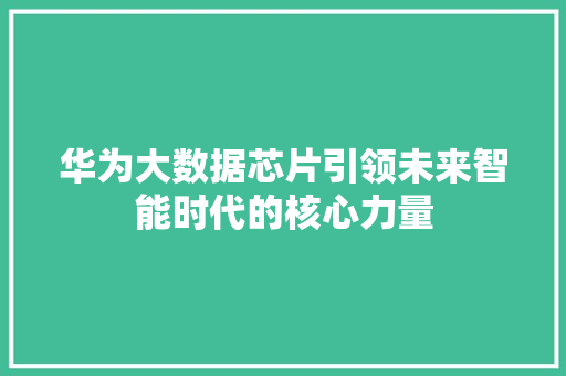 华为大数据芯片引领未来智能时代的核心力量