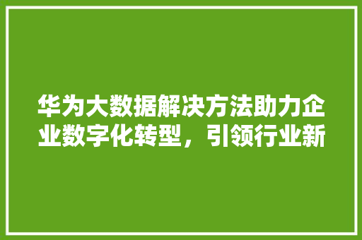 华为大数据解决方法助力企业数字化转型，引领行业新风向