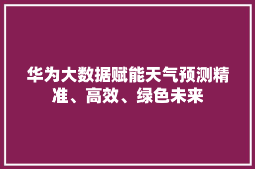 华为大数据赋能天气预测精准、高效、绿色未来