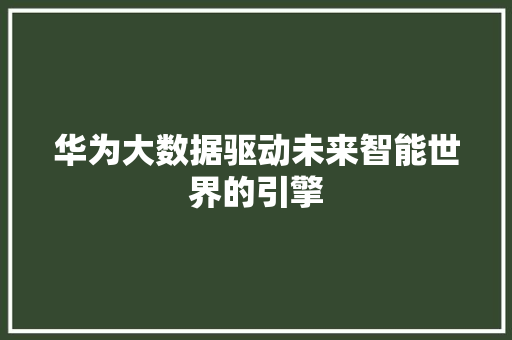 华为大数据驱动未来智能世界的引擎