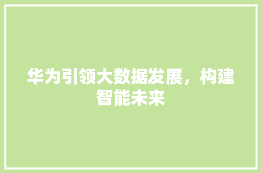 华为引领大数据发展，构建智能未来