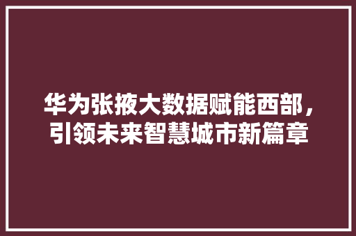 华为张掖大数据赋能西部，引领未来智慧城市新篇章