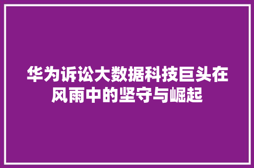 华为诉讼大数据科技巨头在风雨中的坚守与崛起