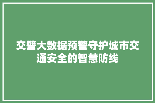 交警大数据预警守护城市交通安全的智慧防线