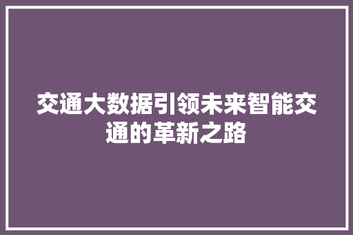 交通大数据引领未来智能交通的革新之路