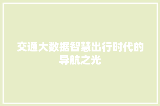 交通大数据智慧出行时代的导航之光 交通大数据智慧出行时代的导航之光