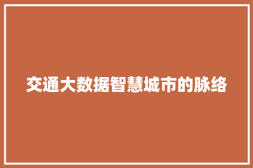 交通大数据智慧城市的脉络