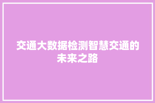 交通大数据检测智慧交通的未来之路