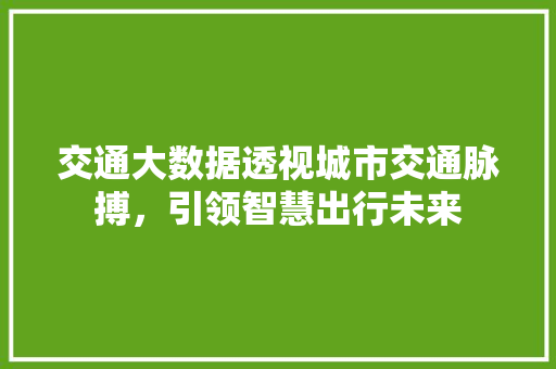 交通大数据透视城市交通脉搏，引领智慧出行未来