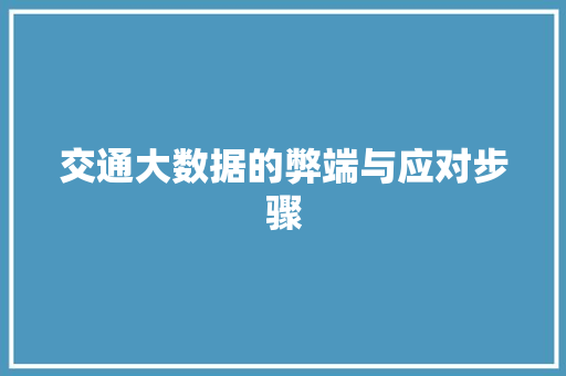 交通大数据的弊端与应对步骤
