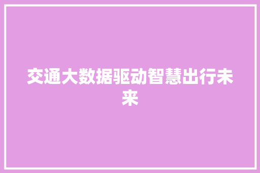 交通大数据驱动智慧出行未来