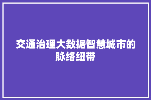 交通治理大数据智慧城市的脉络纽带