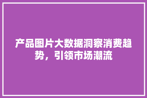 产品图片大数据洞察消费趋势，引领市场潮流