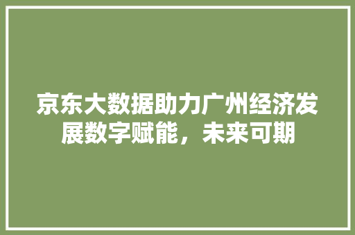 京东大数据助力广州经济发展数字赋能，未来可期