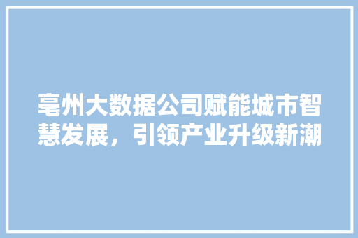 亳州大数据公司赋能城市智慧发展，引领产业升级新潮流