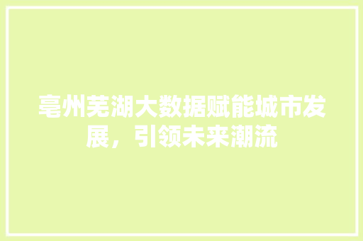 亳州芜湖大数据赋能城市发展，引领未来潮流
