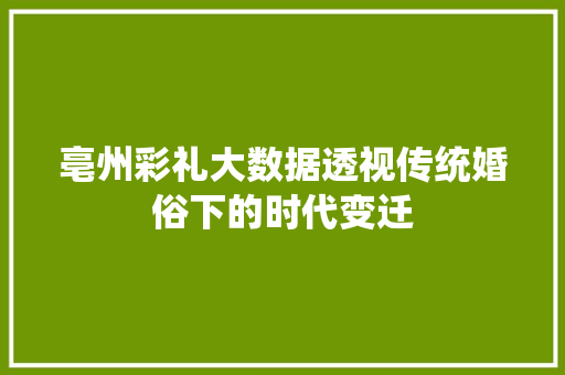 亳州彩礼大数据透视传统婚俗下的时代变迁