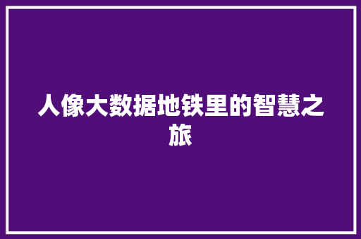 人像大数据地铁里的智慧之旅