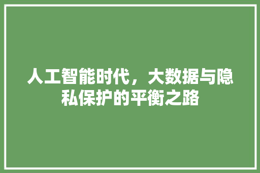 人工智能时代，大数据与隐私保护的平衡之路