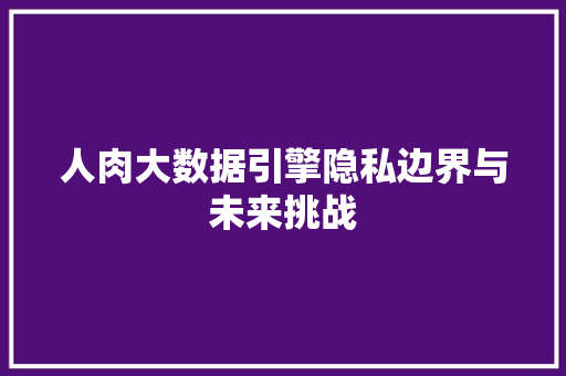 人肉大数据引擎隐私边界与未来挑战 WordPress教程
