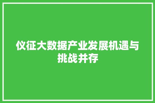 仪征大数据产业发展机遇与挑战并存