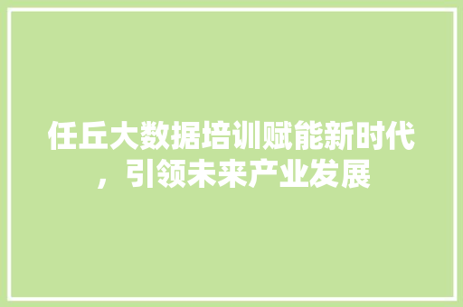 任丘大数据培训赋能新时代，引领未来产业发展