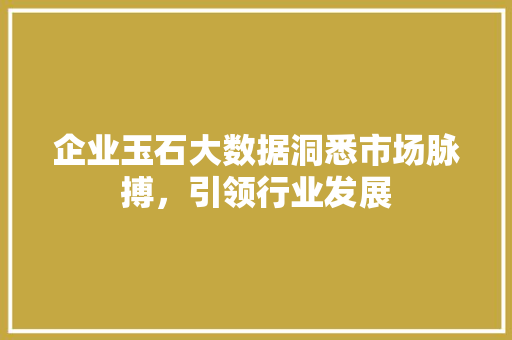 企业玉石大数据洞悉市场脉搏，引领行业发展