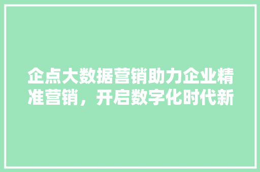 企点大数据营销助力企业精准营销，开启数字化时代新篇章