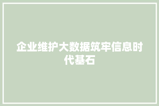 企业维护大数据筑牢信息时代基石