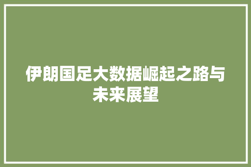 伊朗国足大数据崛起之路与未来展望