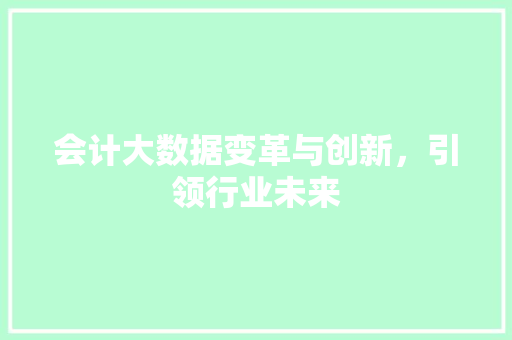 会计大数据变革与创新，引领行业未来