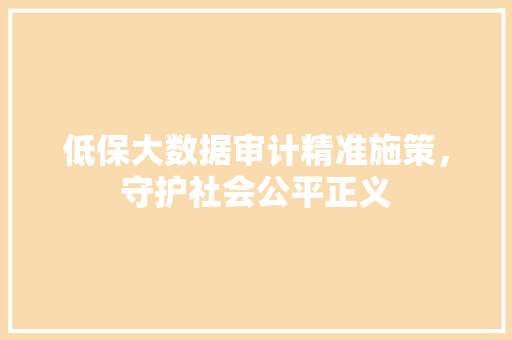 低保大数据审计精准施策，守护社会公平正义