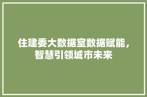 住建委大数据室数据赋能，智慧引领城市未来